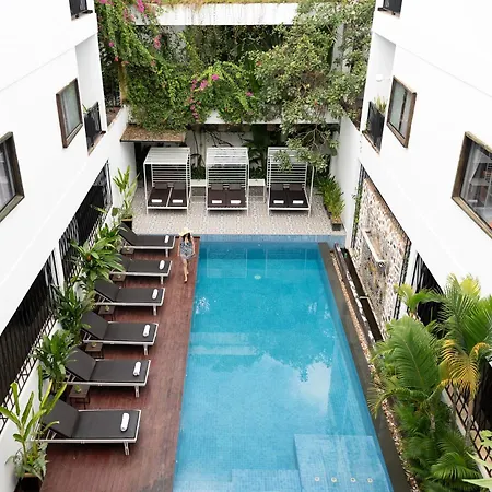 The Calm Oasis